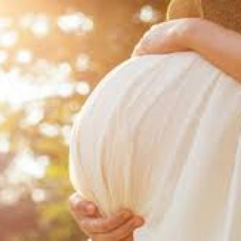 ვედების სიბრძნე ორსულთათვის